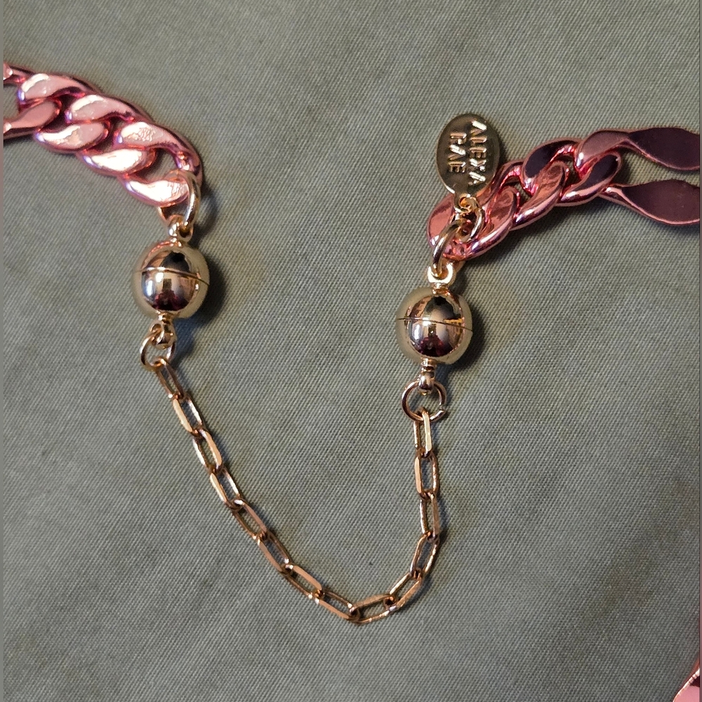 By Alexa Rae By Alexa Rae NWT Once In A Lifetime Necklace - Picture 8 of 12